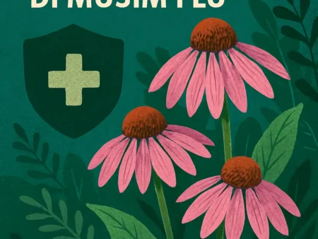 Manfaat Echinacea untuk Meningkatkan Sistem Imun di Musim Flu